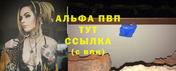 тгк Богородицк