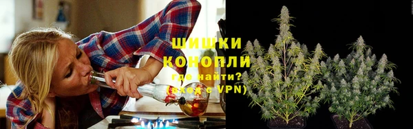 тгк Богородицк